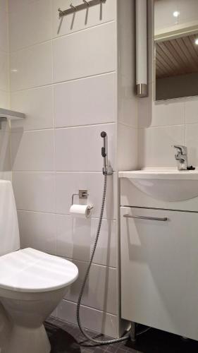 a bathroom with a toilet and a sink at Saimaan Rantavilla Zebra in Imatra