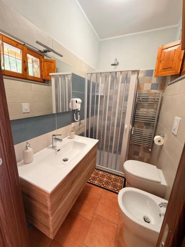 a bathroom with a sink and a toilet at Agriturismo Il Vecchio Carrubo in Castellammare di Velia
