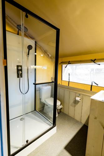 a bathroom with a shower and a toilet at Katzrin Village Glamping in Qasrîne