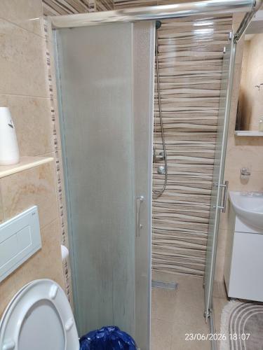 a bathroom with a shower stall and a toilet at L2 Toplica PK in Prokuplje