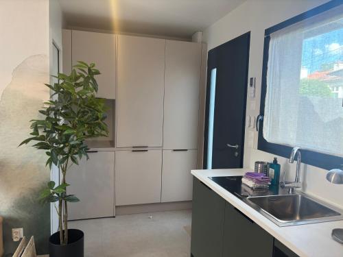 a kitchen with white cabinets and a potted plant at Résidence les 3 volcans 4 étoiles in Clermont-Ferrand