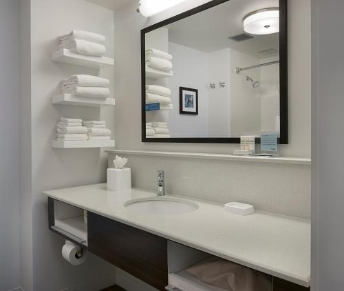 a bathroom with a sink and a large mirror at Holiday Inn Express Hotel & Suites Prattville South by IHG in Prattville