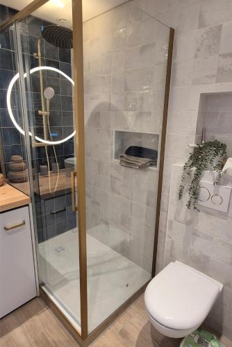 a bathroom with a shower and a toilet at Le Saphir in Poligny