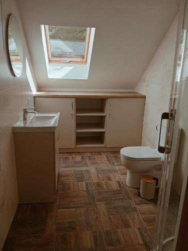 a bathroom with a toilet and a sink and a window at Apartament Miłków Karkonosze in Miłków