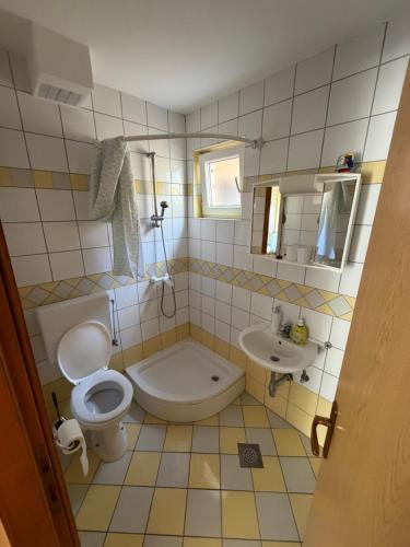 a bathroom with a toilet and a sink at Villa Oliva Vir in Vir