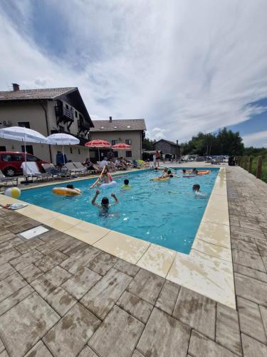 a group of people swimming in a swimming pool at Royal Hotel in Drăguş