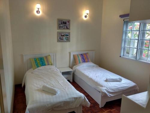 two beds in a small room with a window at Cozy Modern Quiet Garden in Tanah Rata