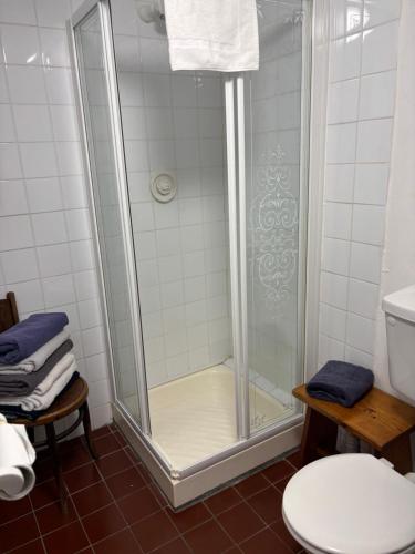 a shower with a glass door in a bathroom at Diamond View House in Letterfrack