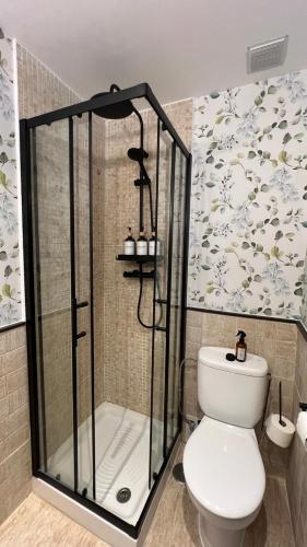 a bathroom with a shower and a toilet at Las Casitas de Martín in Candeleda