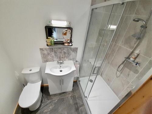 a bathroom with a toilet and a shower and a sink at Studio Lodge in Crowhurst