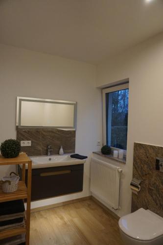 a bathroom with a sink and a toilet and a window at Live your dream in Kirchberg