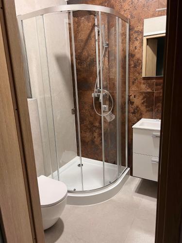 a bathroom with a shower and a toilet at Aura Pokoje na Wynajem in Wojnicz