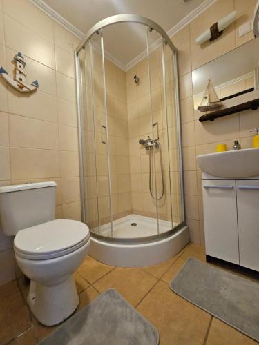 a bathroom with a shower and a toilet and a sink at Przystanek Żarnowska Domki in Żarnowska