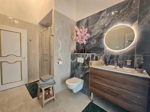 a bathroom with a toilet and a sink and a mirror at La Villa M77 in Boitron