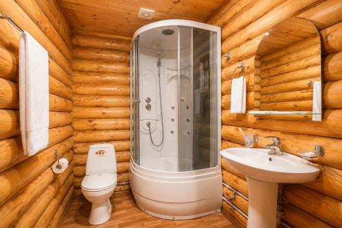a bathroom with a shower and a toilet and a sink at Ensenada in Gribovka