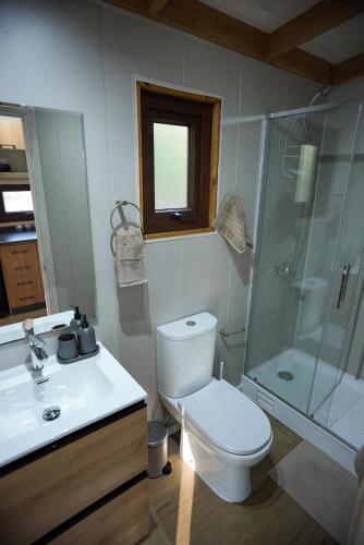 a bathroom with a toilet and a shower and a sink at Tagua Cabins Malalcahuello in Malalcahuello