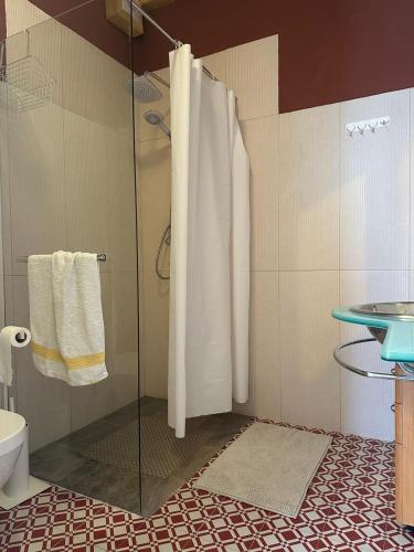 a shower with a glass door in a bathroom at Casa tio Manuel in São Martinho das Amoreiras