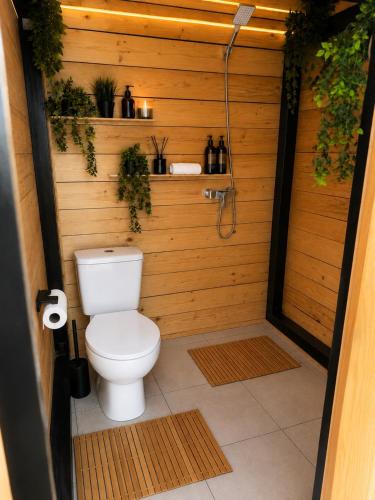 a bathroom with a toilet with plants on the wall at VaMood in Vama Veche