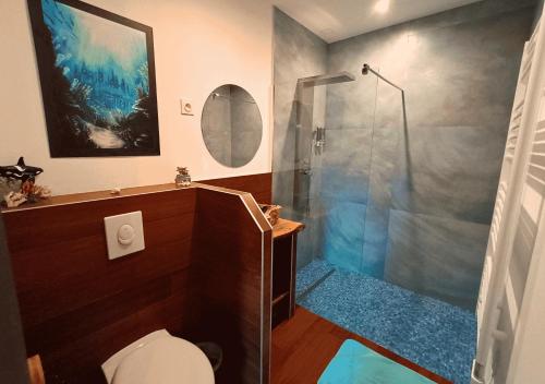 a bathroom with a shower and a toilet at La Synchronicité - Chambres d'Hôtes in Vaudrimesnil