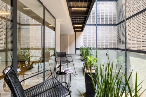 a lobby with chairs and plants and windows at ULIV Antara in Mexico City