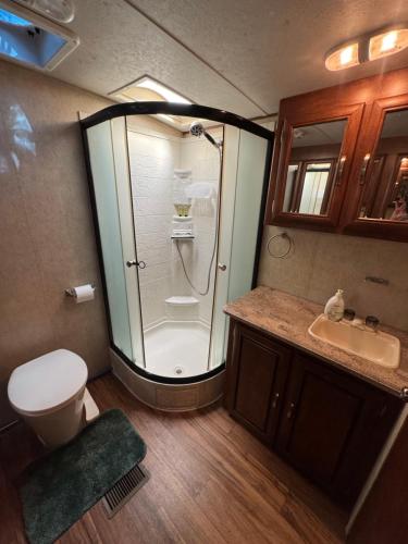 a bathroom with a shower and a toilet and a sink at Florida VIBE in Homosassa Springs