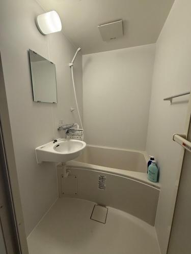 MAC HOME 201 Tokyo QUEEN BED 2BR 500m to Kameari Station Near ARIO Mall