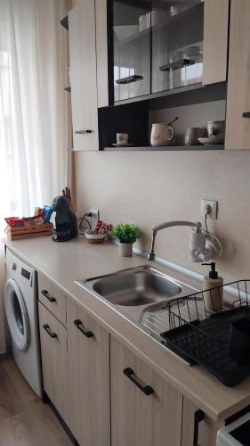 a kitchen with a sink and a washing machine at Bella Apartment in Ruse