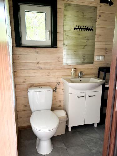 a small bathroom with a toilet and a sink at Domki u Czopera in Zełwągi