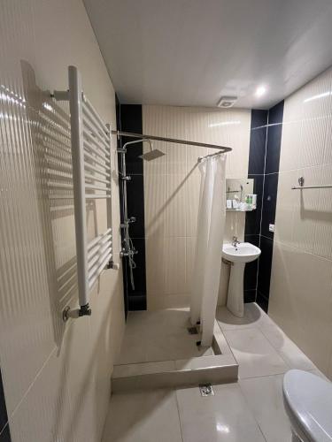 a bathroom with a shower and a toilet and a sink at Narek B&B in Goris