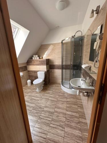 a bathroom with a toilet and a shower and a sink at U Górala in Cieszków