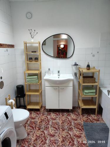 a bathroom with a sink and a mirror and a toilet at Ksandra in Topla