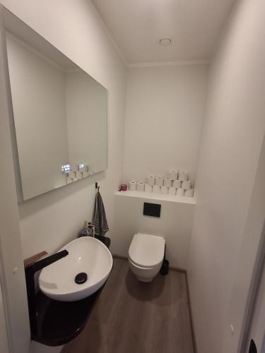 a bathroom with a white toilet and a sink at Riverside Sauna House in Savala