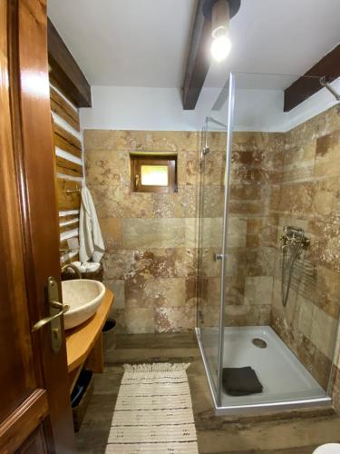 a bathroom with a shower and a sink at Căsuța Anei in Rîmeţi-Valea Inzelului