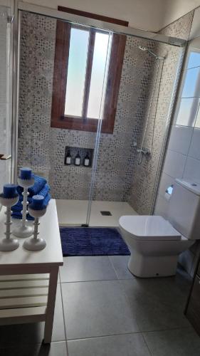 a bathroom with a shower and a toilet and a sink at Casas Hoya Limpia- Sólo Adultos in Santa Cruz de la Palma