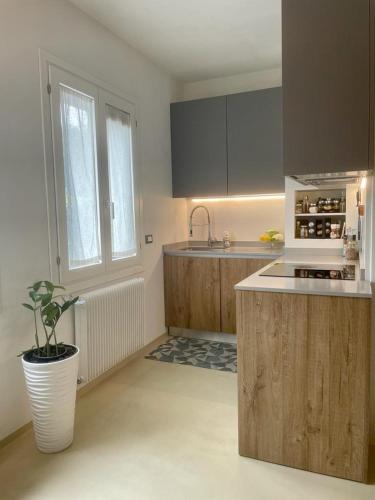a kitchen with wooden cabinets and a potted plant at Fabio's Home in Bassano del Grappa