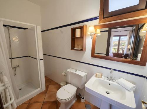 a bathroom with a toilet and a sink and a shower at Tamahuche Hotel Rural in Vallehermoso