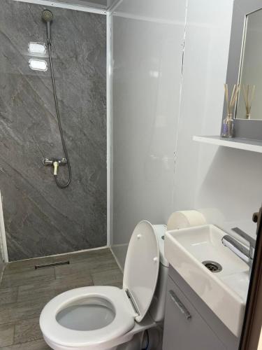 a bathroom with a toilet and a shower and a sink at Auberge de Chez Momo in Asilah