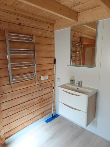 a bathroom with a sink and a mirror at Ferienhaus Mit Blick auf die Müritz in Rechlin