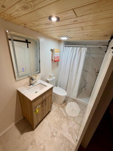 a bathroom with a sink and a toilet and a shower at Lemon Drop in Homosassa