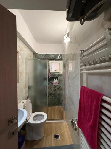 a bathroom with a shower and a toilet and a sink at Olympus View - Valentina in Litochoro
