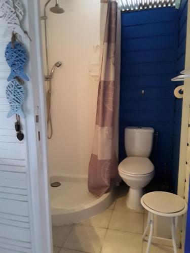 a bathroom with a toilet and a shower at La Case du Pêcheur in La Trinité
