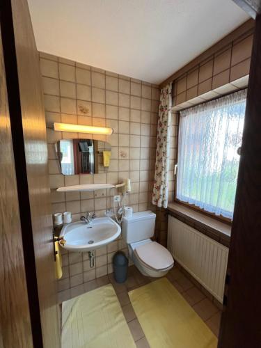 a bathroom with a toilet and a sink at Haus Alpenblick in Serfaus
