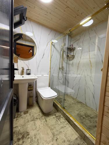 a bathroom with a shower and a toilet and a sink at Chalet Marta in Kobuleti