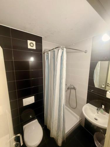 a small bathroom with a toilet and a sink at Guest House Kekusic in Međugorje