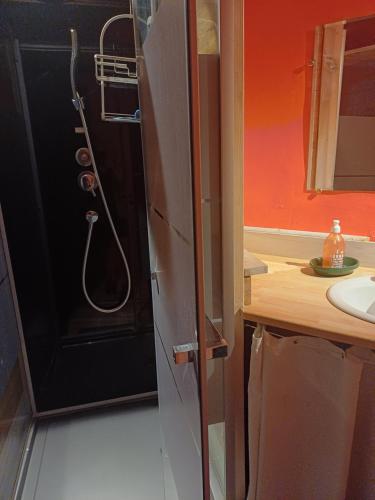 a bathroom with a shower in a black cabinet at Loft 5 personnes dans ferme provençale in Ongles