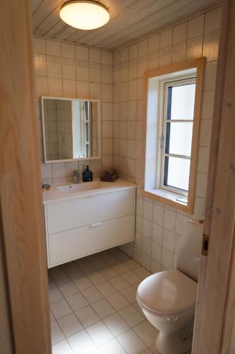 a bathroom with a sink and a toilet and a window at Billund Guest Lodge 2 in Hejnsvig