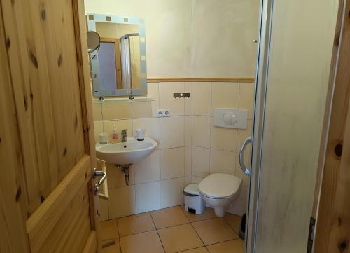 a small bathroom with a toilet and a sink at Fewo Backboard in Röbel