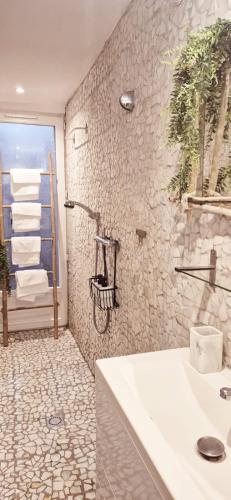 a bathroom with a shower and a sink and a tub at Garaztegia Studio in Ustaritz