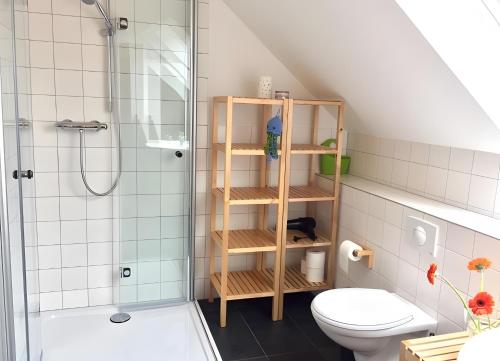 a bathroom with a shower and a toilet at Haus W 7 in Röbel