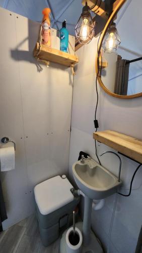 a small bathroom with a sink and a toilet at Dôme Romanov in Saint-René-de-Matane